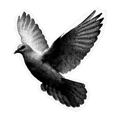 Flying dove